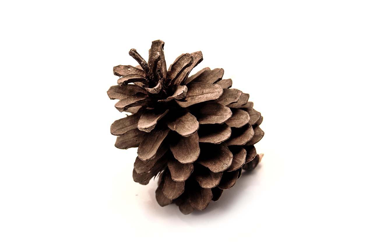 Pudim de Leite Ninho 300g